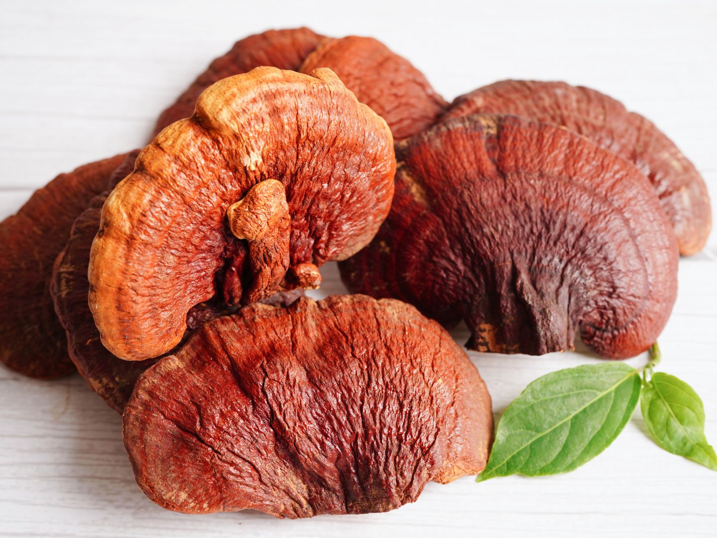 Směs reishi a hericium - Myco-Zen - Mushrooms For Life